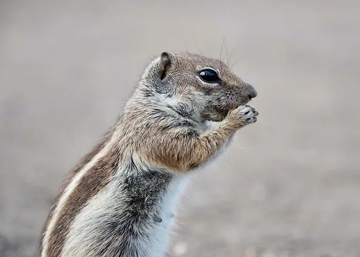 וילה Felix Met Private Pool! *